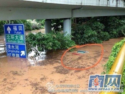 深圳暴雨 1人被困积水亡1人触电亡