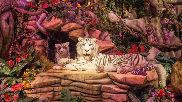 广州长隆酒店白虎自助餐厅--暑假味游亚洲风情