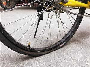 福田有自行車店變共享單車專修店 摩拜小哥每日至少找30輛壞車