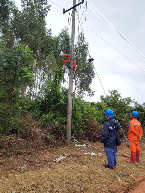 南方电网广东中山局:680人支援湛江抗击台风