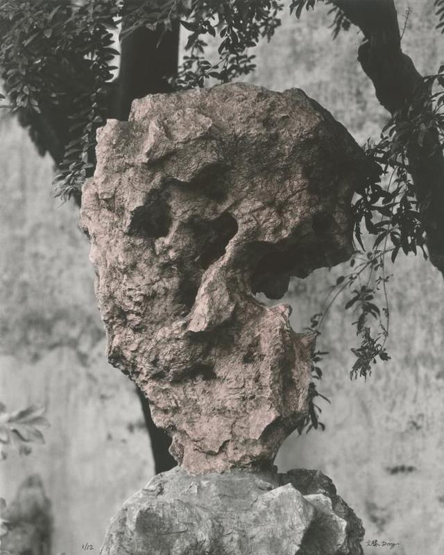 �䳲�����ڣ������������� �ڶ���չ���������ʴ�