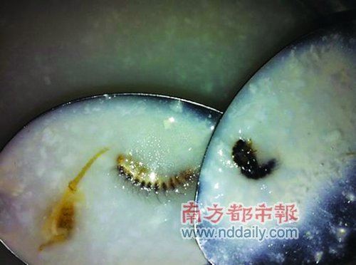 大学食堂吃到虫赔50元 承包商：给食堂一次机会