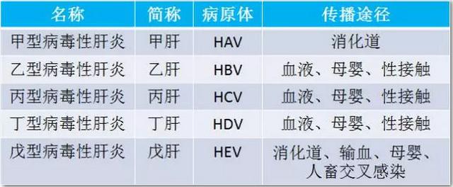 广东专家披露5大类肝炎传染途径:母婴传染4类