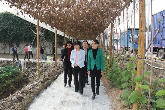 省、市妇联主席到基层开展调研工作