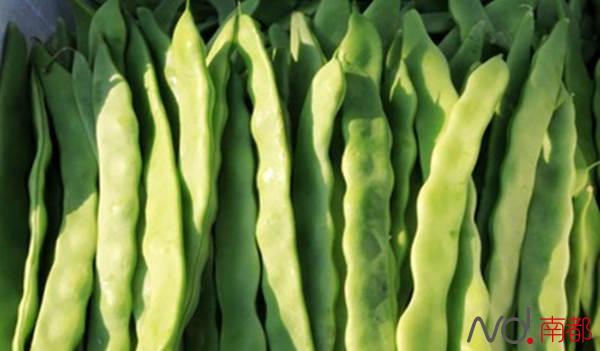 晚餐扁豆放倒东莞50名员工 有人呕吐出血丝