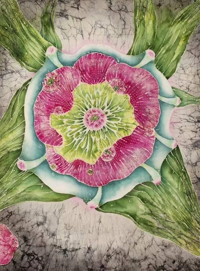 深职院最近有点火,好消息不断