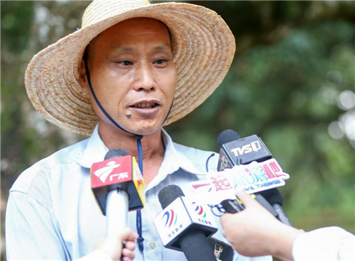 大唐荔乡·好心茂名2018茂名高州荔枝文化节