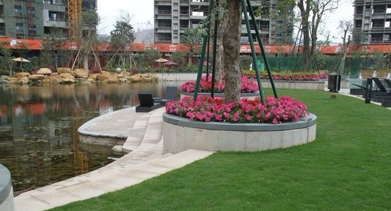 大运城邦绝版楼王:最值得买的资源型豪宅