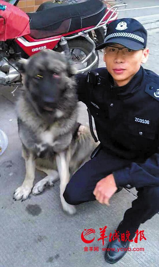 广州辅警左胸被刺 仍捂伤口追歹徒后牺牲