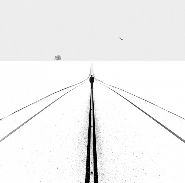 Self lonely worldHossein ZareƷp