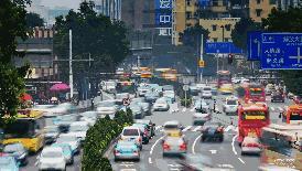 在广州,最受欢迎的景区原来是它们