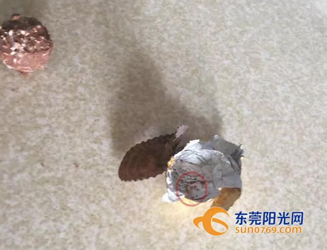 好嚇人！東莞母女在巧克力時吃出活蛆蟲