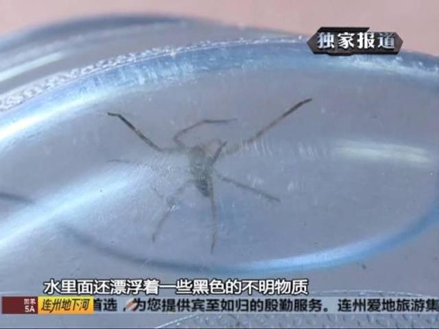 廣州女子買桶裝水 收到毛骨悚然的“贈品”