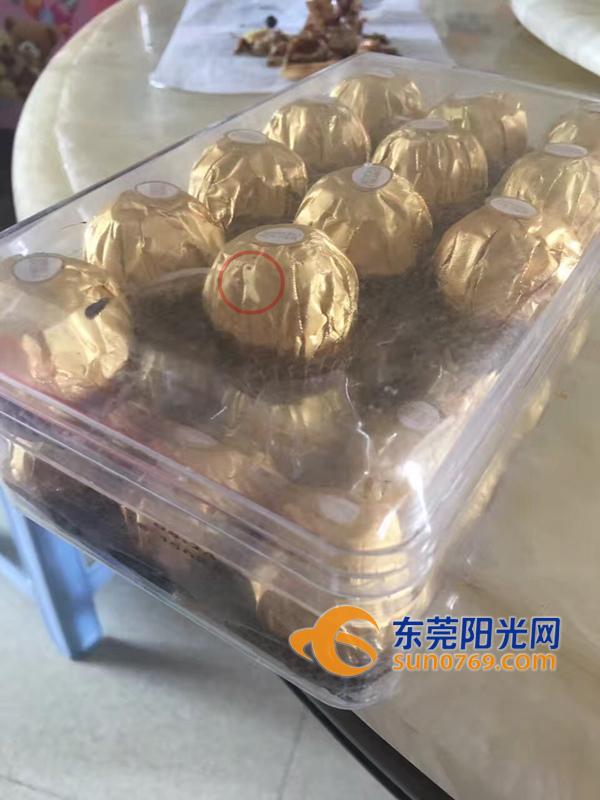 好嚇人！東莞母女在巧克力時吃出活蛆蟲