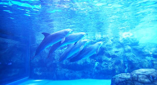 南粤大地,总有风光旖旎处_大粤网_腾讯网