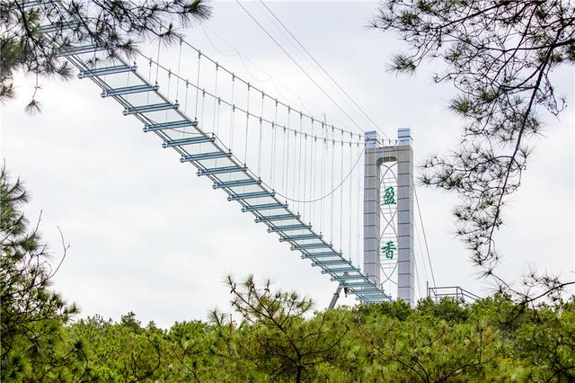 挑战1558米高空全景体验!广佛首座玻璃桥落户佛山盈香生态园，十一正式开放