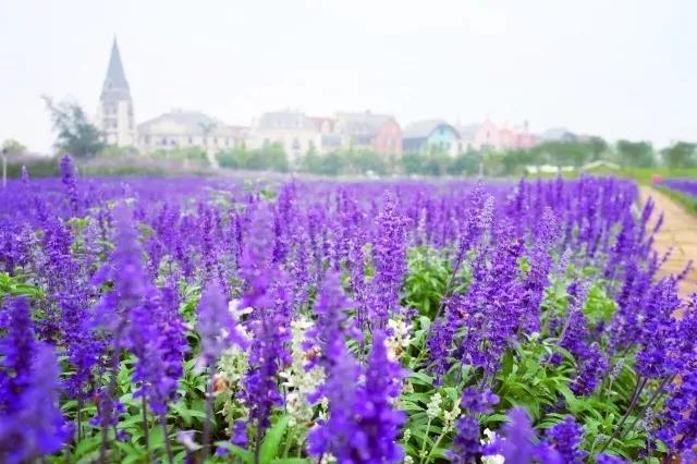 ��ɽ�����غ����ϻ�԰�Ƶꡪ�����жȼ����չ�����ѡ֮��