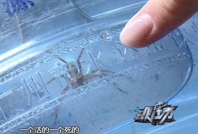 廣州女子買桶裝水 收到毛骨悚然的“贈品”