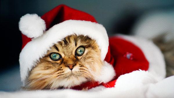 几乎看不到的边框!易美逊27英寸IPS白色显示器