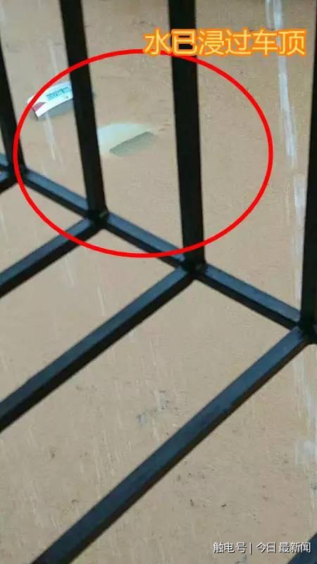 增城 沦陷 !水浸过车顶新娘都没法接了