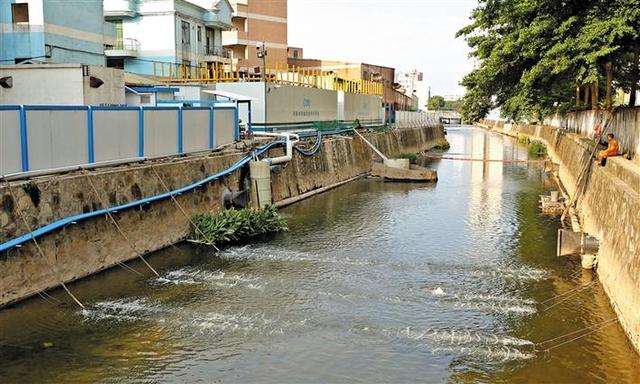 沙福河明年与万丰水库公园连片成景