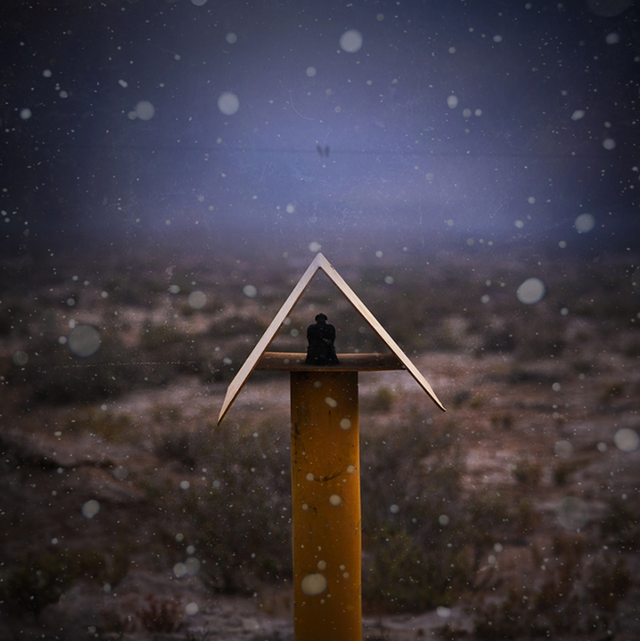 Self lonely worldHossein ZareƷp