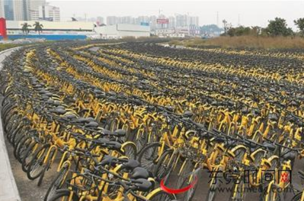 粵B大貨車運(yùn)數(shù)萬輛小黃到東莞 60歲大爺稱這輩子都沒見過