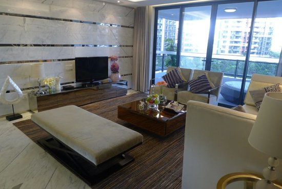 大运城邦绝版楼王:最值得买的资源型豪宅