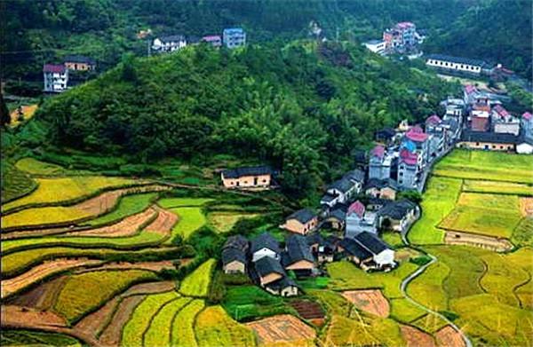 衢州现有人口_衢州水亭门图片(2)