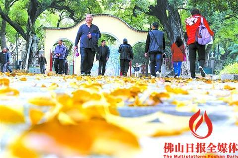 佛山人注意！回南天明日殺到 注意防潮