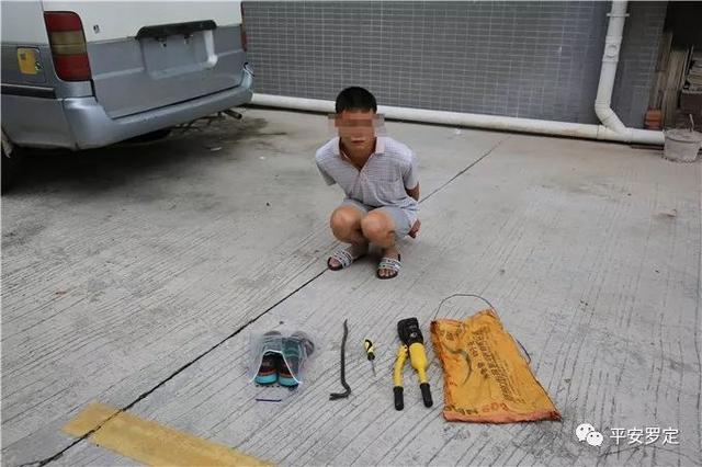 廣東最猖狂的賊！搬空屋子后在大廳大便，用人民幣擦屁股