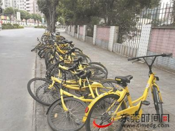 粵B大貨車運(yùn)數(shù)萬輛小黃到東莞 60歲大爺稱這輩子都沒見過