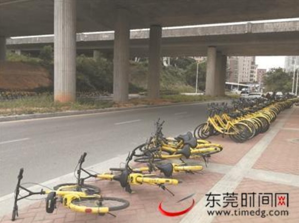 粵B大貨車運(yùn)數(shù)萬輛小黃到東莞 60歲大爺稱這輩子都沒見過