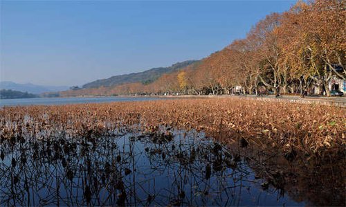 杭州西湖四季之乐探秘春夏秋冬游玩图