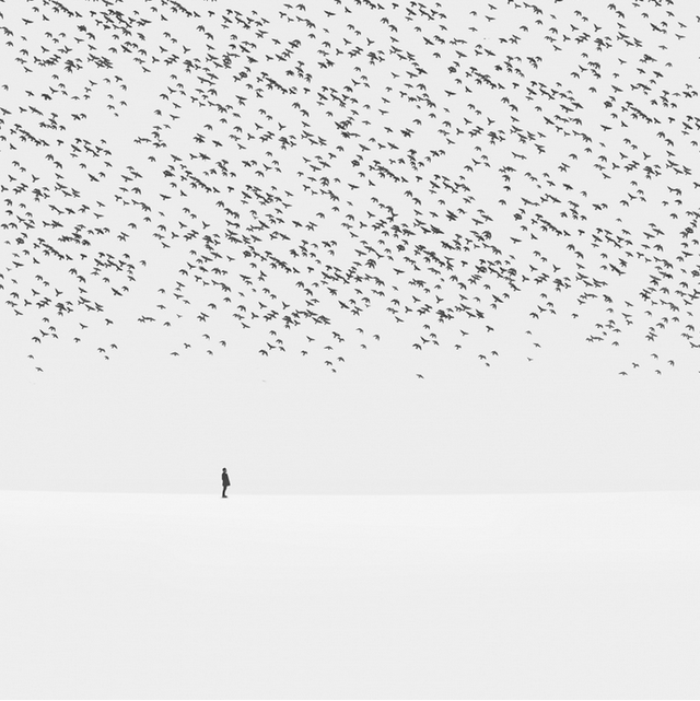 Self lonely worldHossein ZareƷp