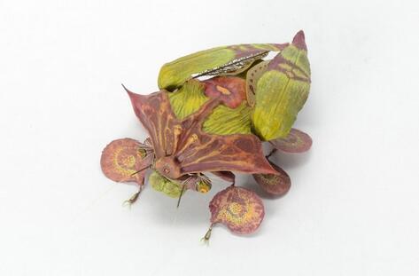 日本艺术家Hiroshi Shinno创作的仿真昆虫雕塑