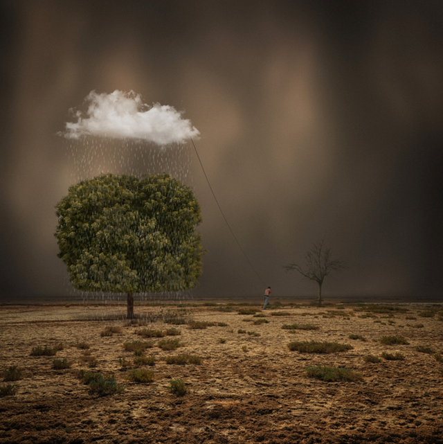 Self lonely worldHossein ZareƷp