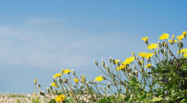 新一股冷空氣周五南下 廣東局地最低溫或僅4℃