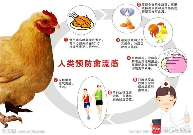 惠州农贸市场检出H5N6、H7N9病毒!不排除人感染禽流感