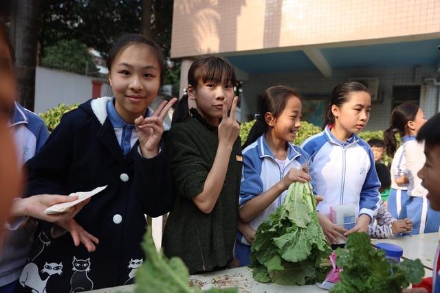 流塘小学举办百草园蔬菜集市