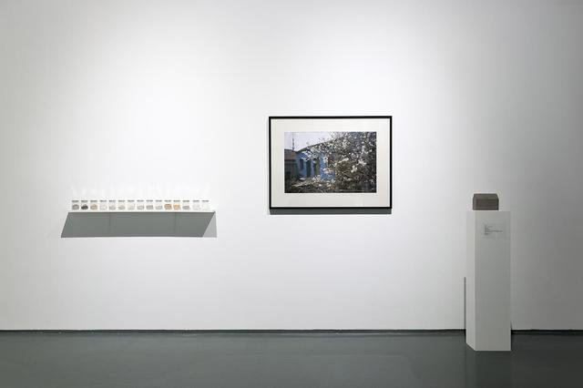 �䳲�����ڣ������������� �ڶ���չ���������ʴ�