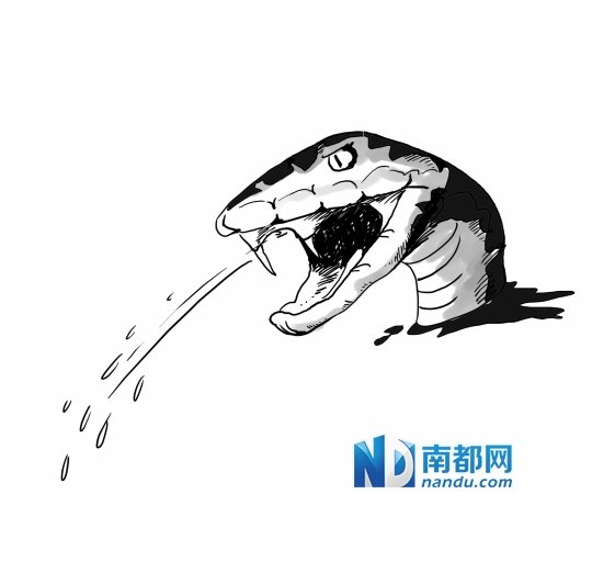 佛山师傅斩断眼镜蛇后 被蛇头喷毒毒伤_大粤网_腾讯网