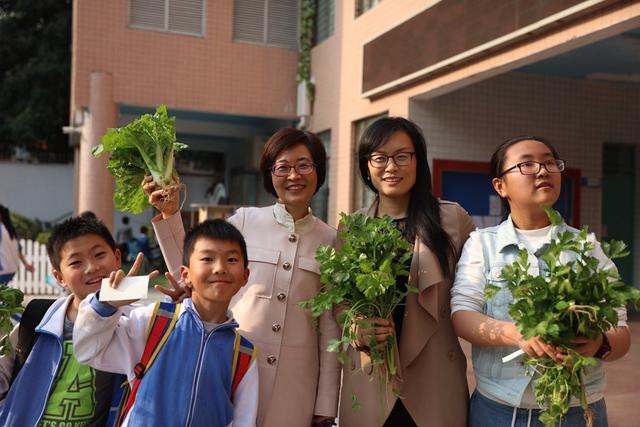 流塘小学举办百草园蔬菜集市