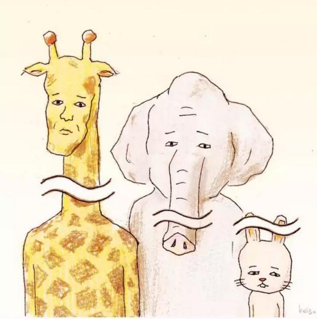 为什么你拍不出点赞高的照片?