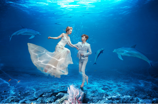 正佳海洋嘉年华五月来袭 寻找最美新人参加海底婚礼_大粤网_腾讯网