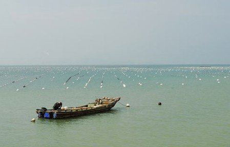 南澳岛旅游景点_南澳岛旅游收入(2)