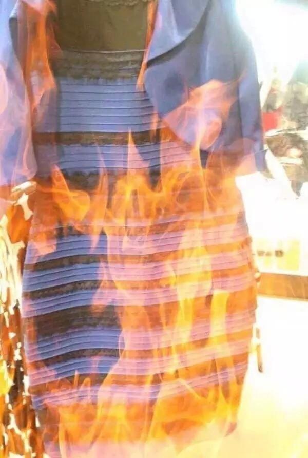 科学调查:这裙子,到底是白金的还是蓝黑的!