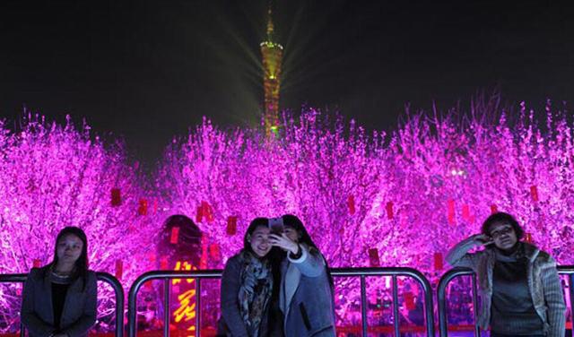 广东人过年为啥要逛花市?据说这些年花最受欢