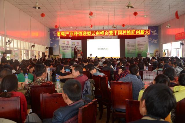 云南近百位農(nóng)民集體宣誓 這是要搞事？