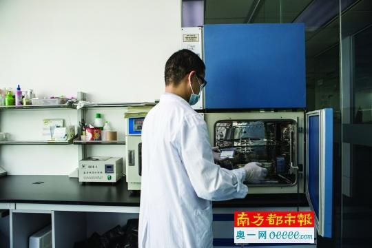 实验证明：筷子暴露3天后沸水冲过还是&ldquo;脏&rdquo;